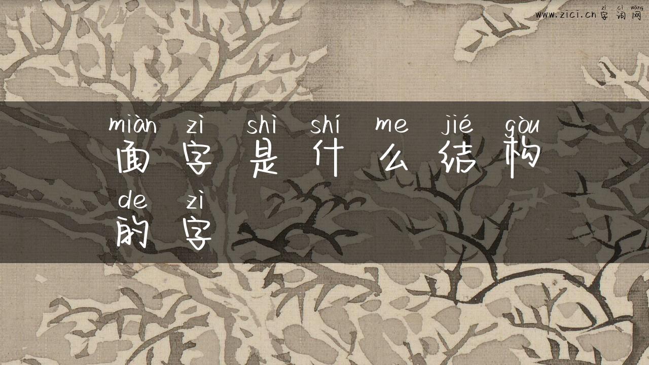 面字是什么结构的字