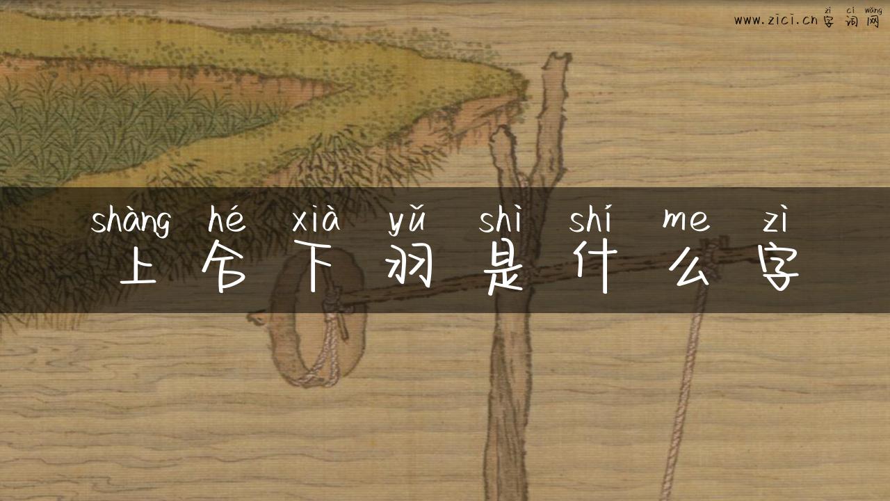 上合下羽是什么字