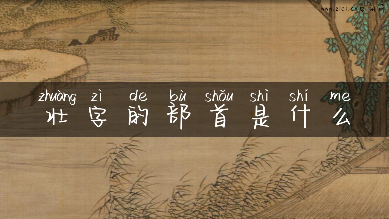 壮字的部首是什么