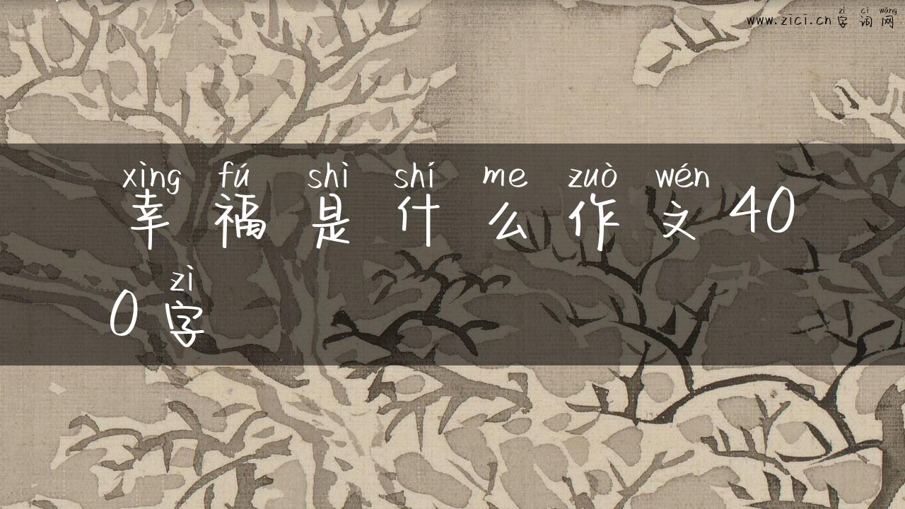 幸福是什么作文400字