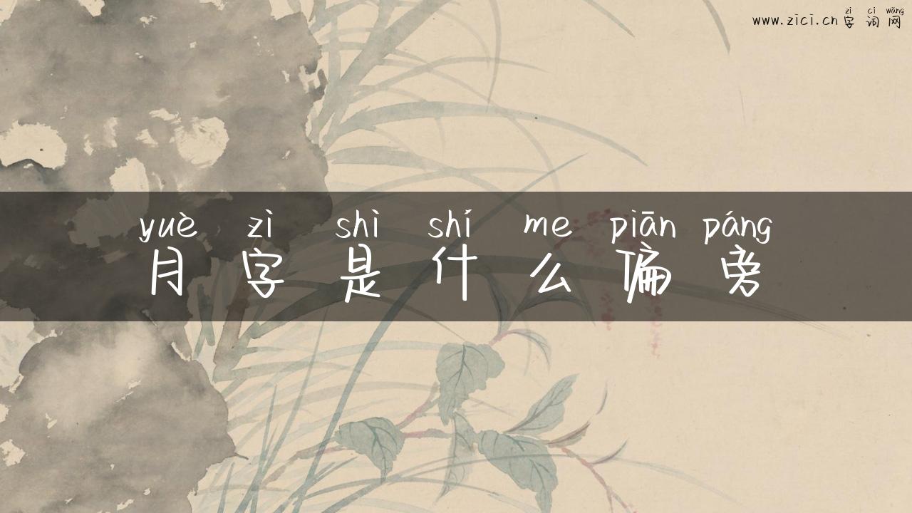 月字是什么偏旁