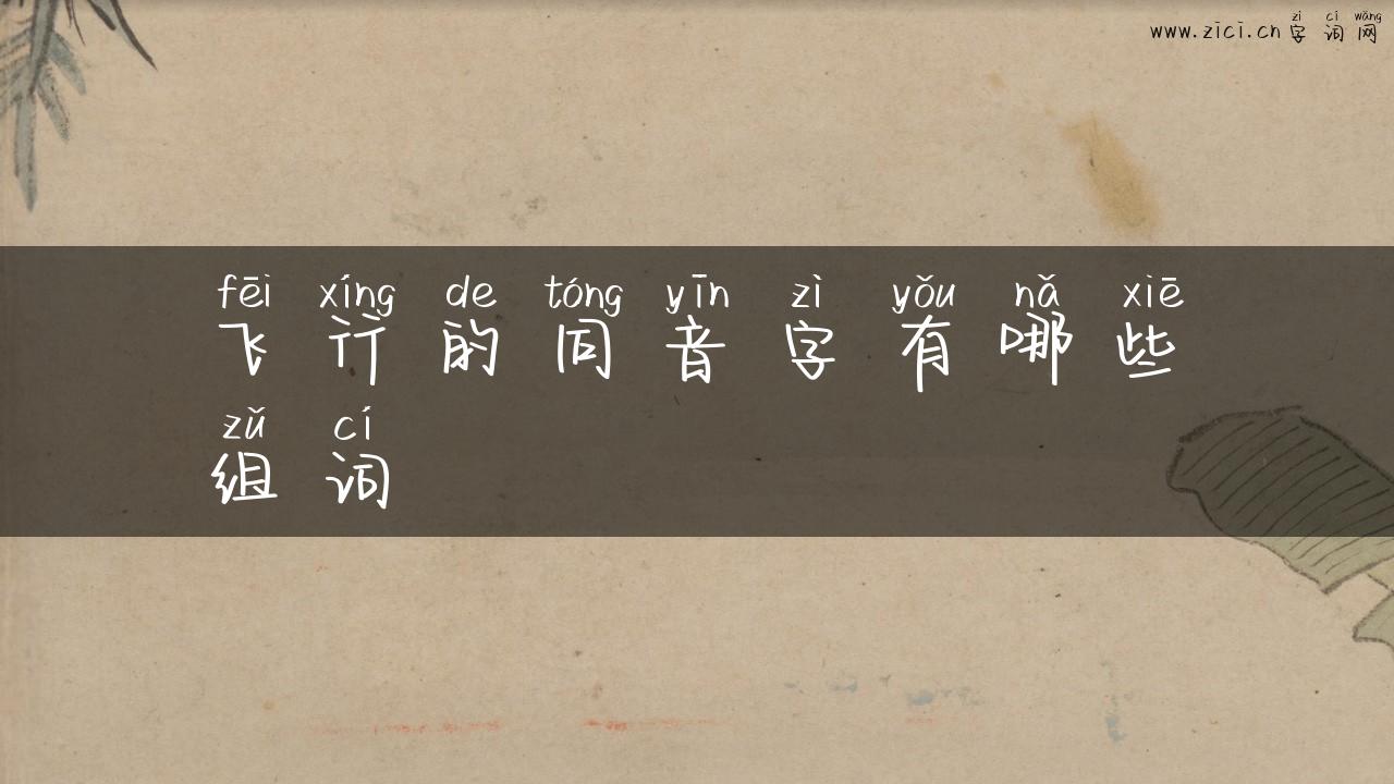 飞行的同音字有哪些组词