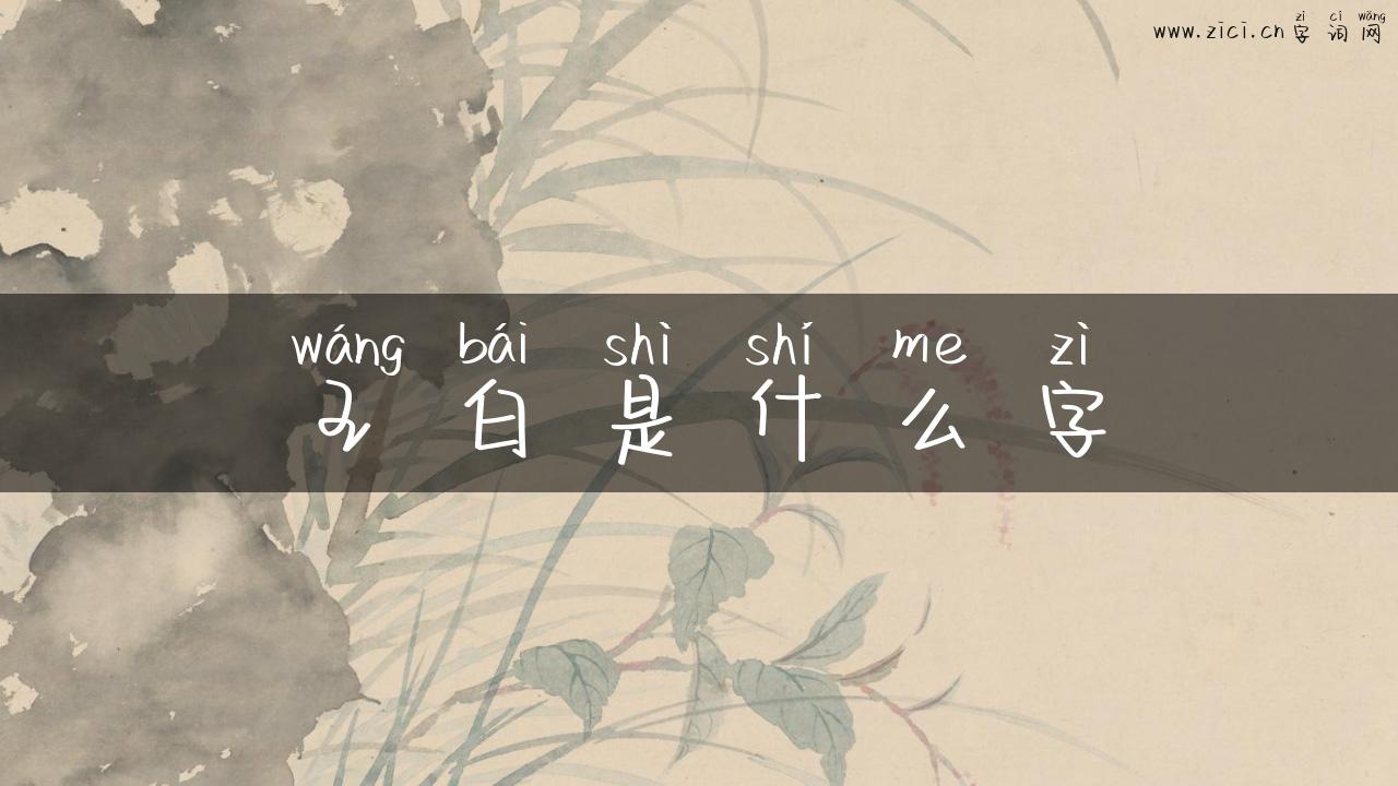 王白是什么字