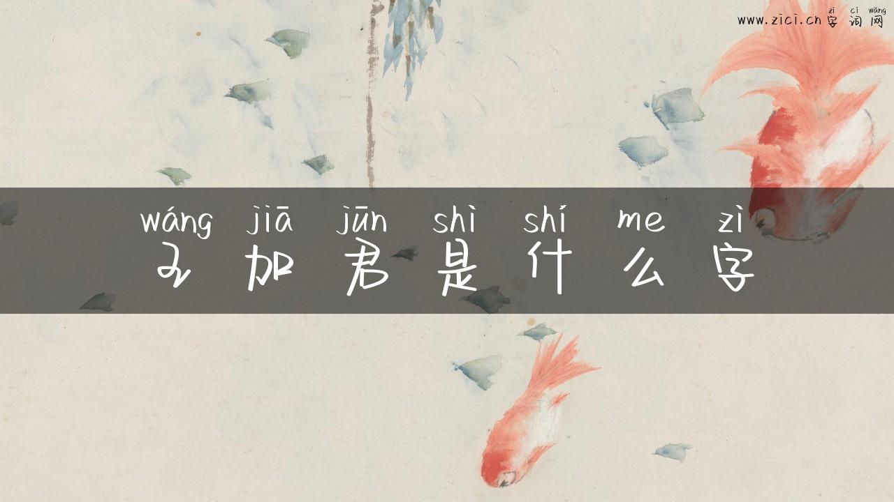 王加君是什么字