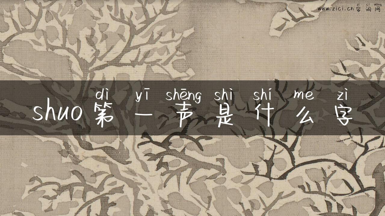 shuo第一声是什么字