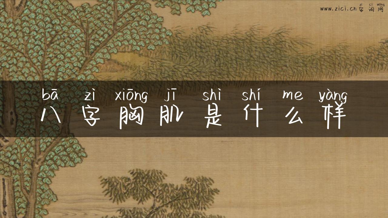 八字胸肌是什么样