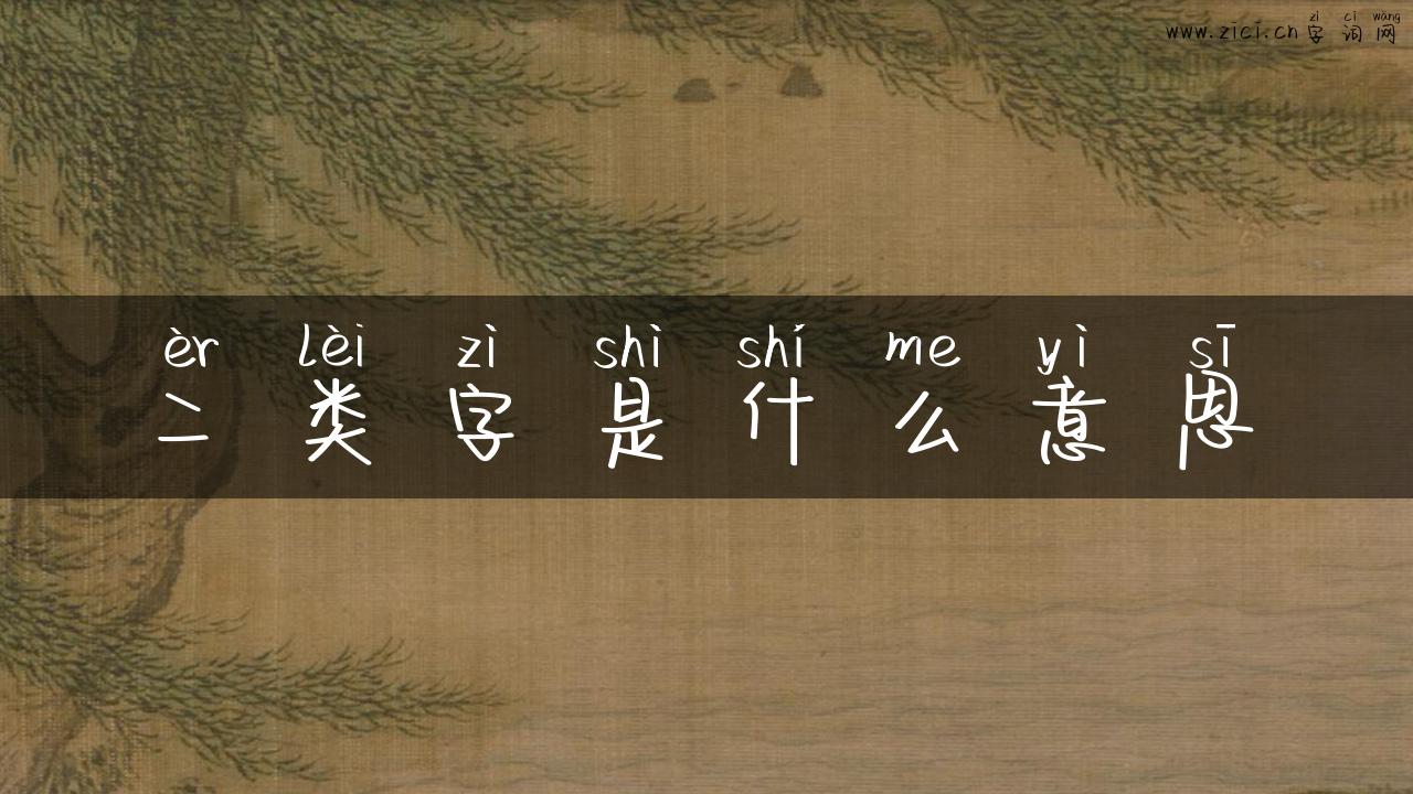 二类字是什么意思