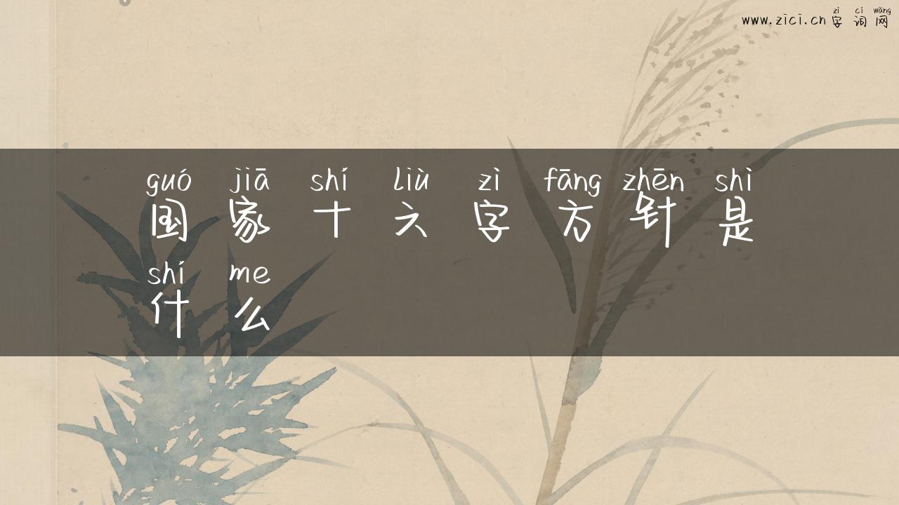 国家十六字方针是什么