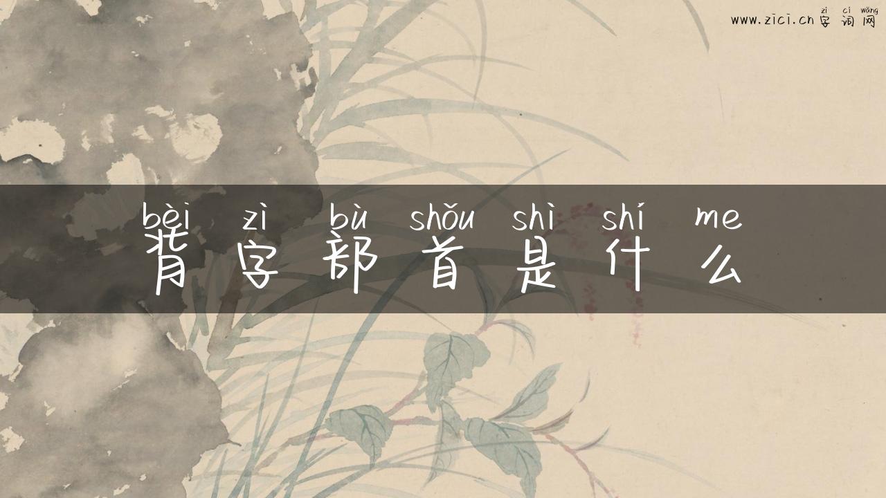 背字部首是什么
