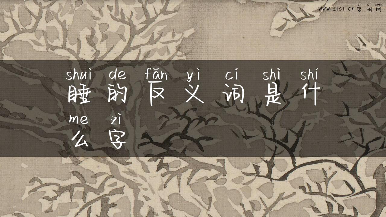 睡的反义词是什么字