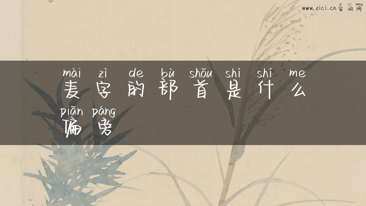 麦字的部首是什么偏旁