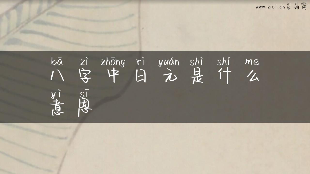 八字中日元是什么意思