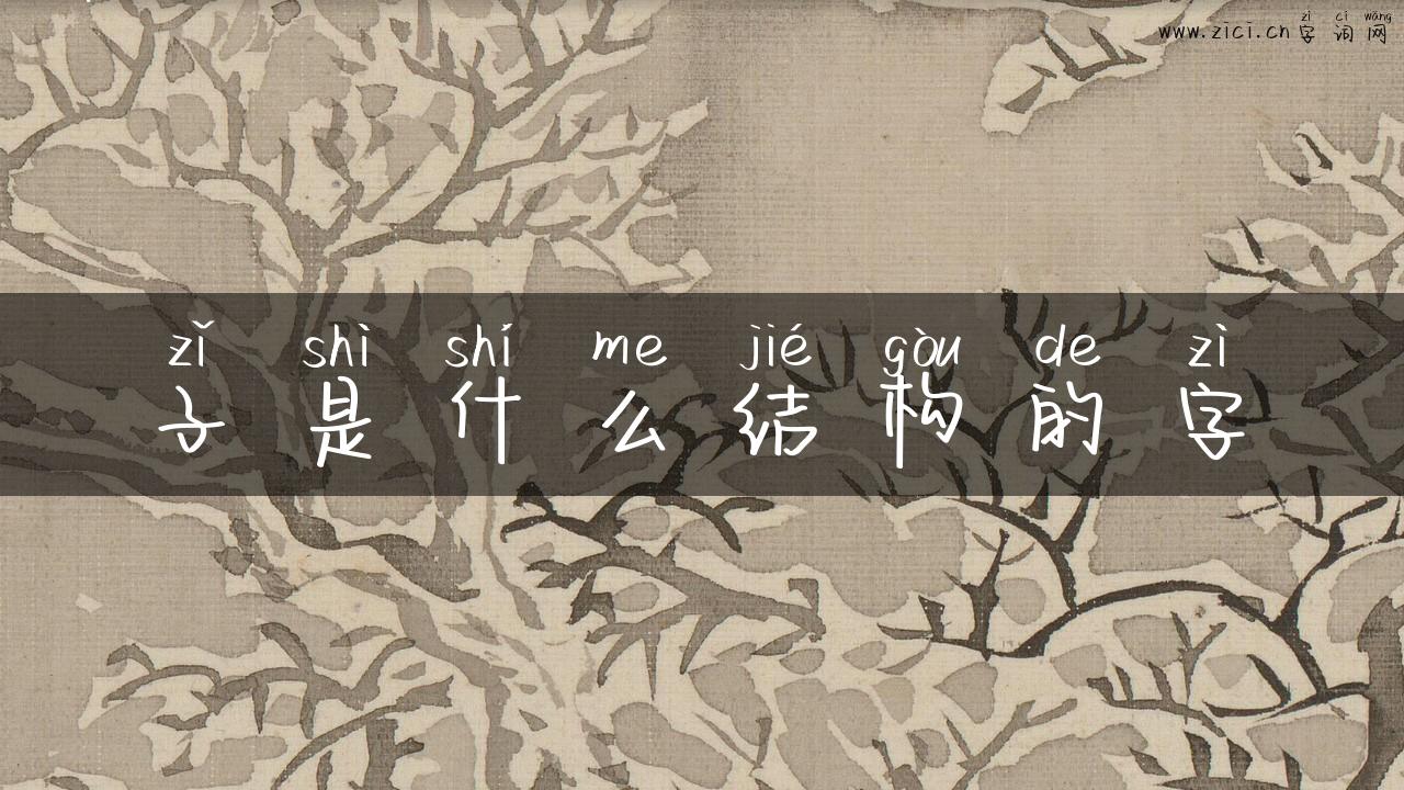 子是什么结构的字
