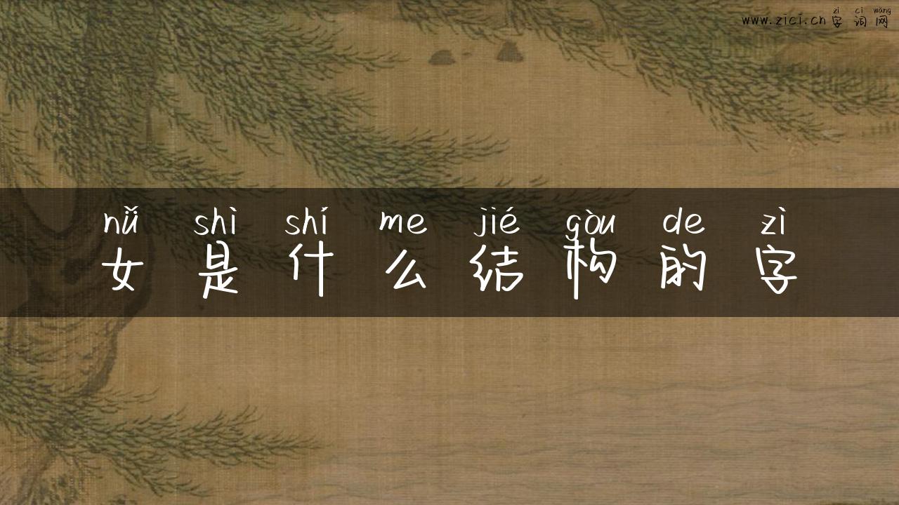 女是什么结构的字