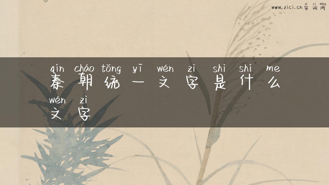 秦朝统一文字是什么文字