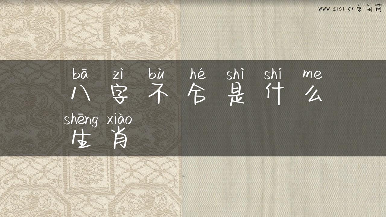 八字不合是什么生肖