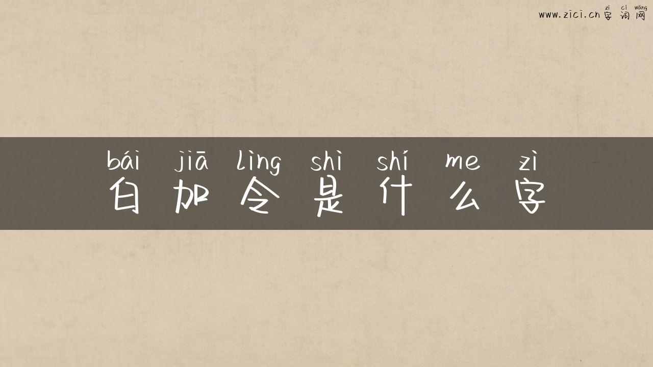 白加令是什么字