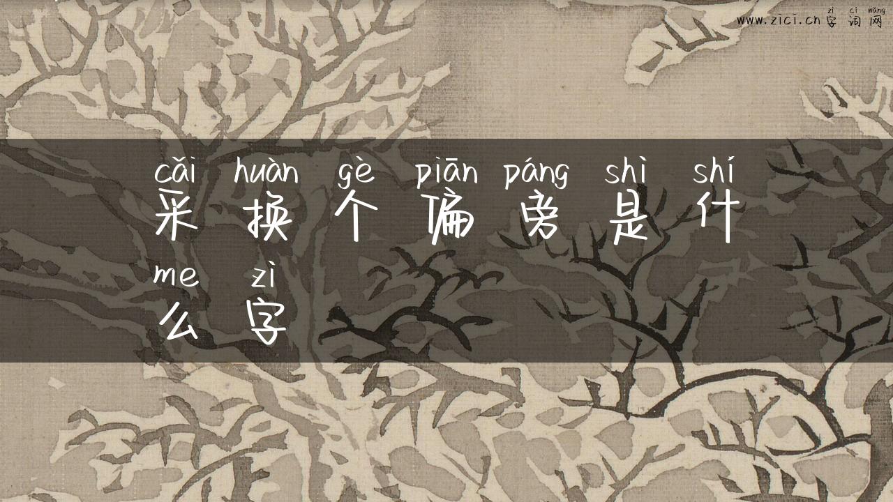 采换个偏旁是什么字