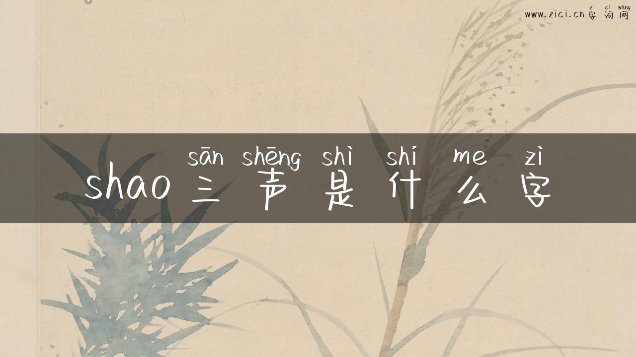 shao三声是什么字