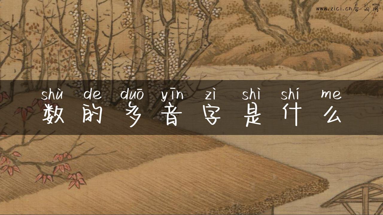 数的多音字是什么