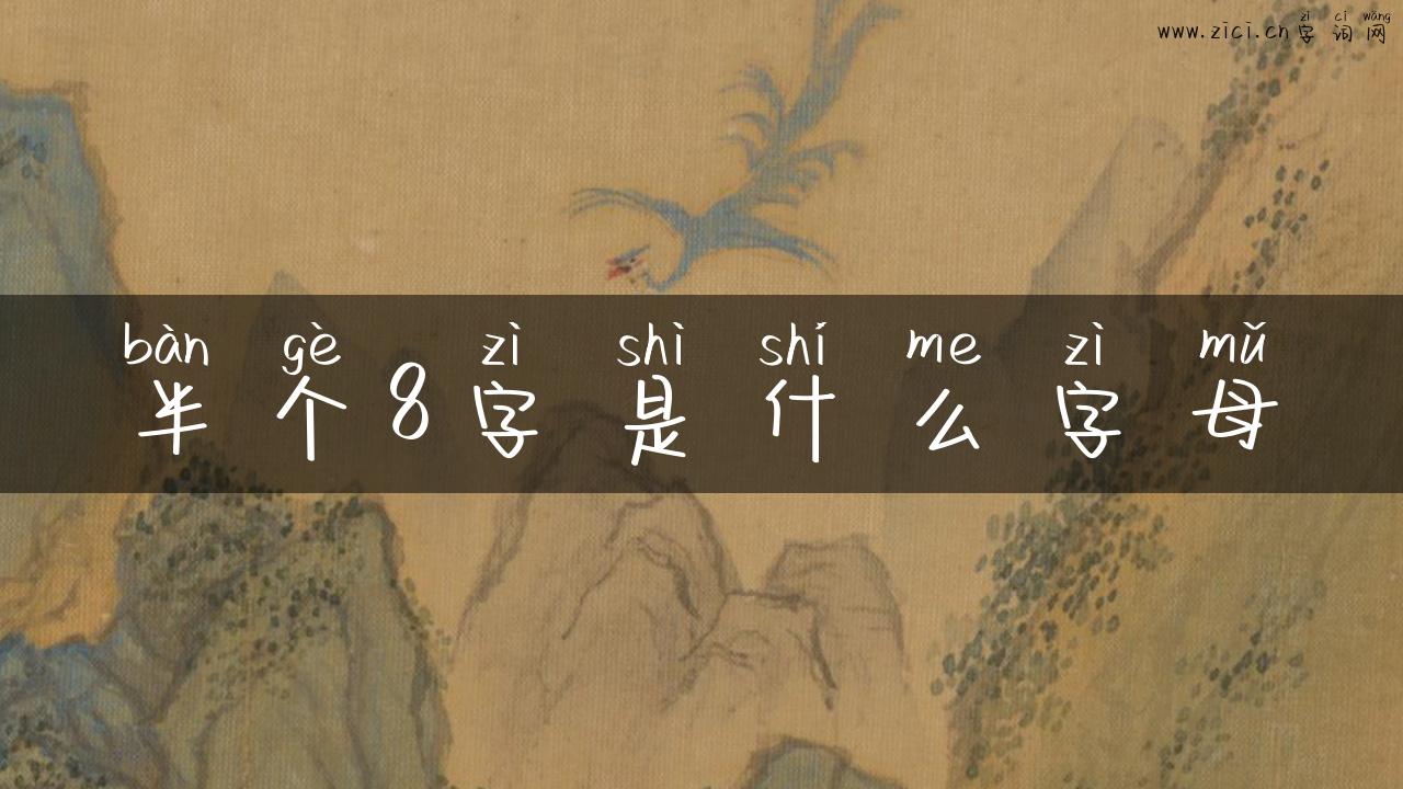 半个8字是什么字母