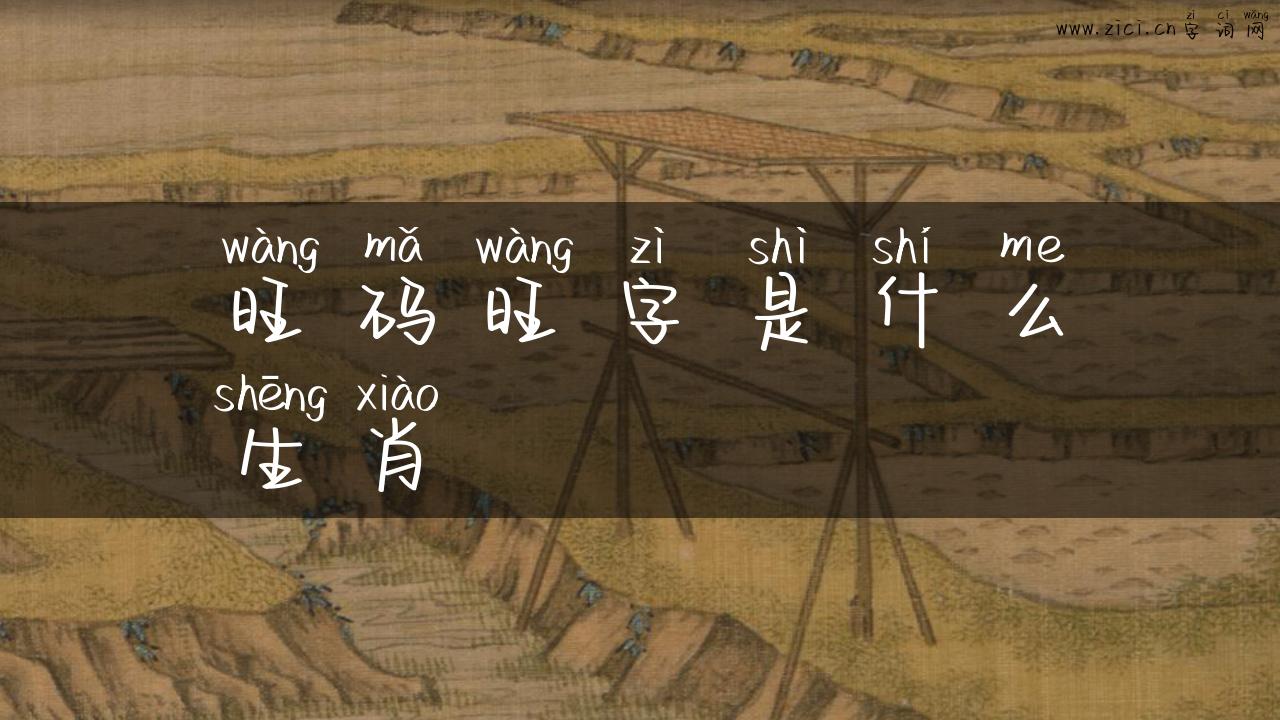 旺码旺字是什么生肖