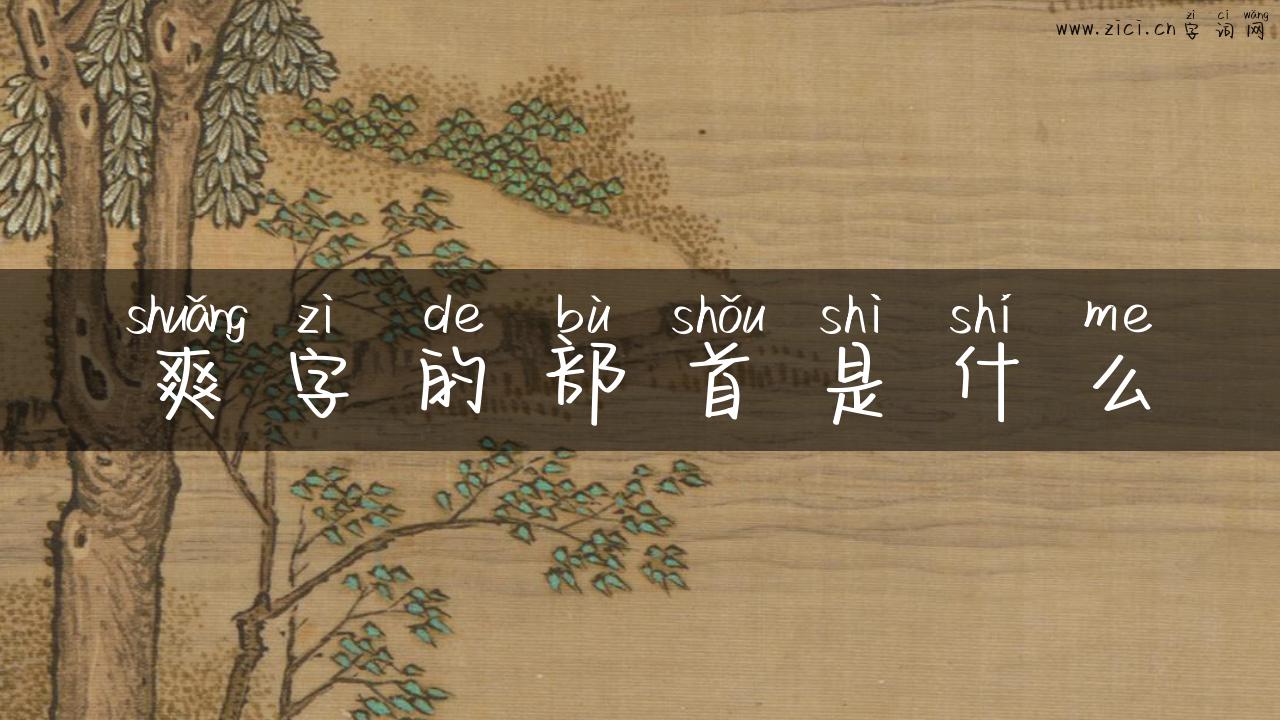 爽字的部首是什么
