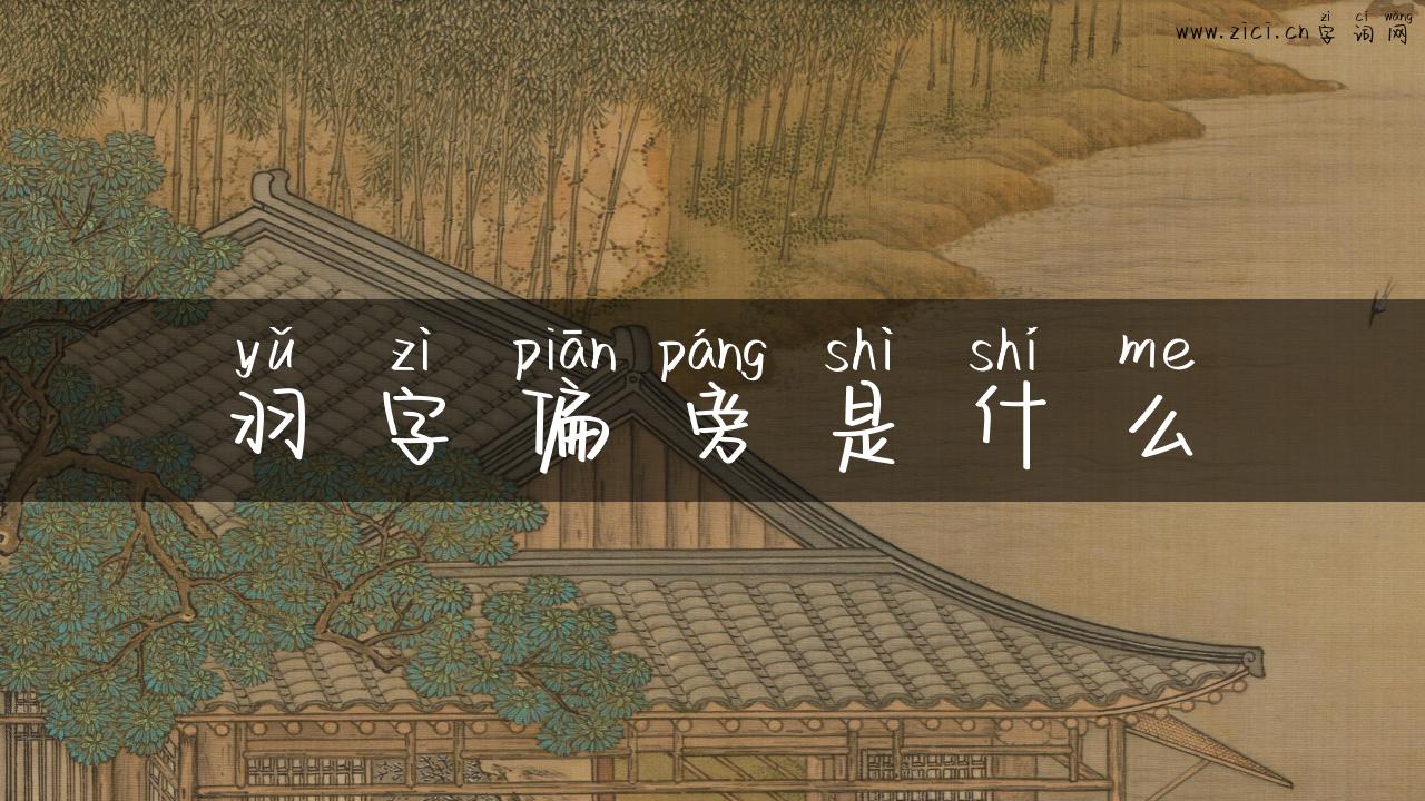 羽字偏旁是什么