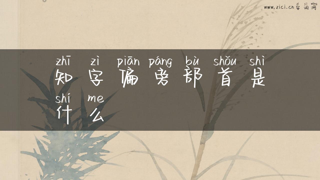 知字偏旁部首是什么