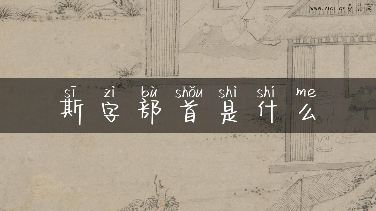 斯字部首是什么
