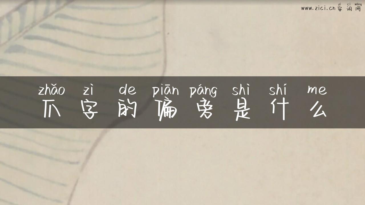 爪字的偏旁是什么