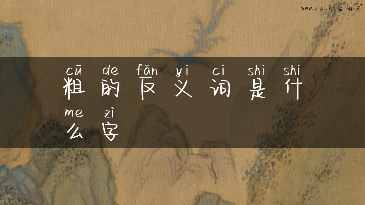 粗的反义词是什么字