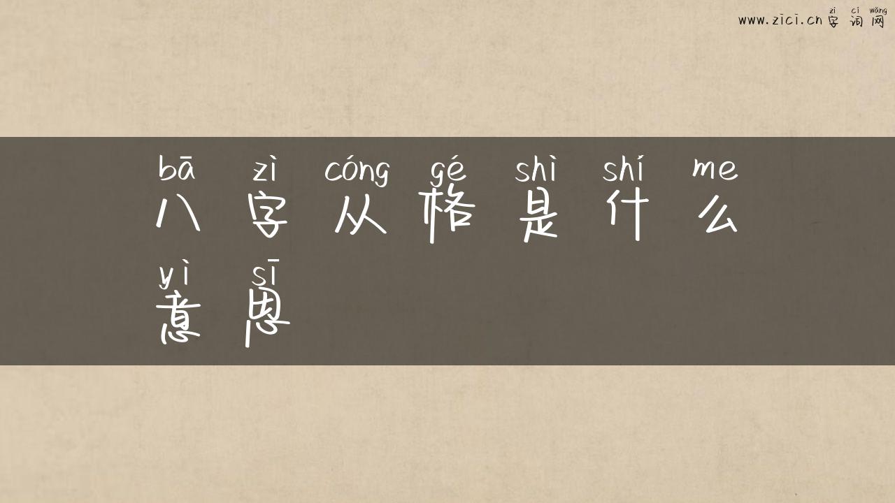 八字从格是什么意思