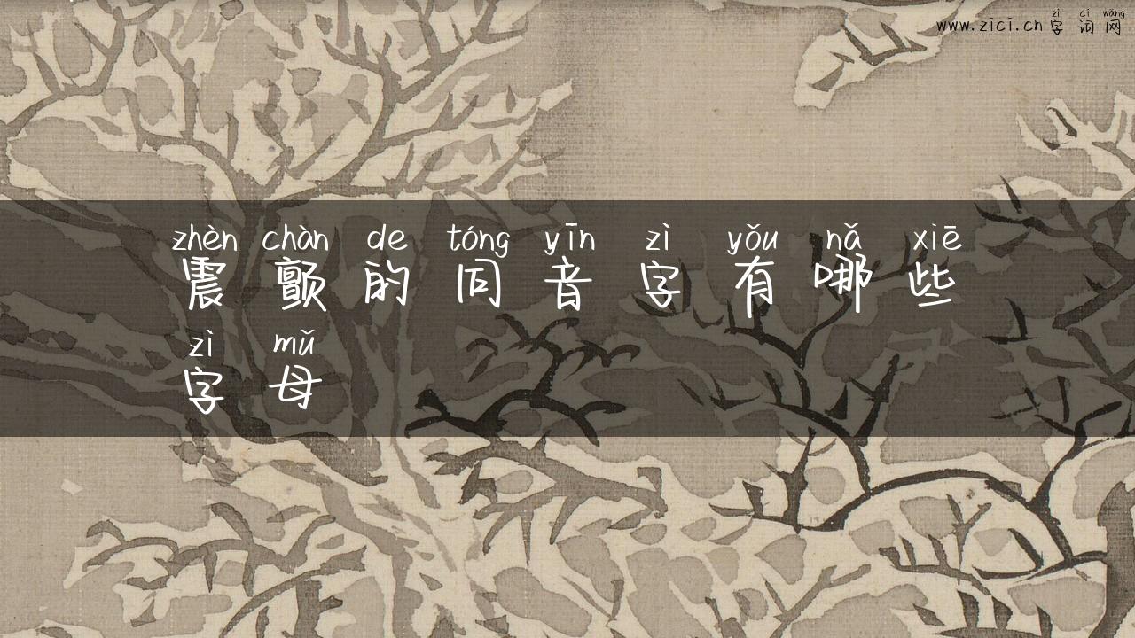 震颤的同音字有哪些字母