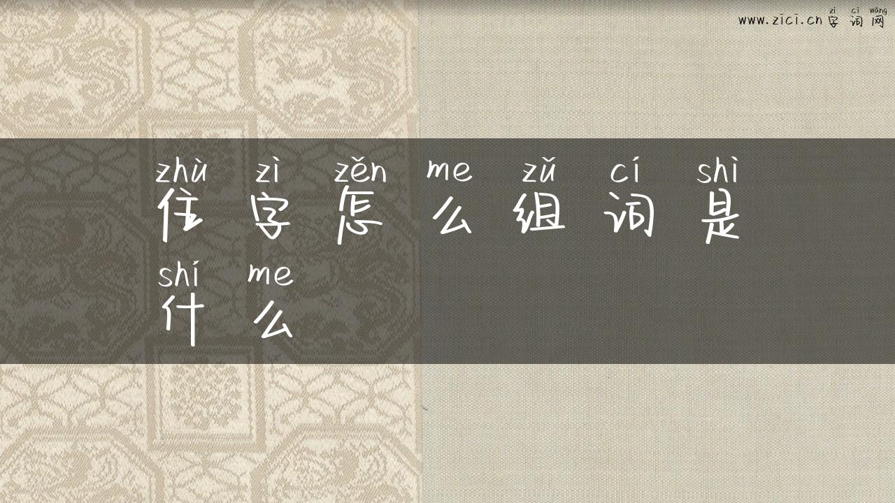 住字怎么组词是什么
