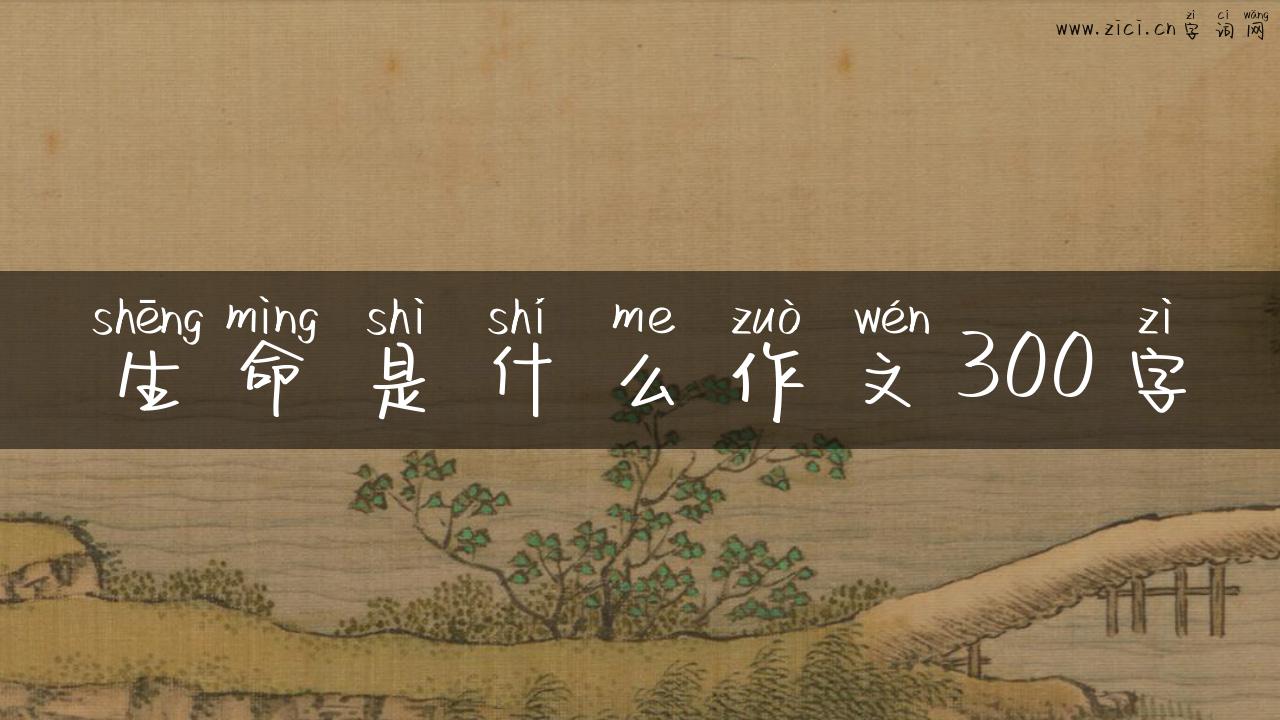 生命是什么作文300字