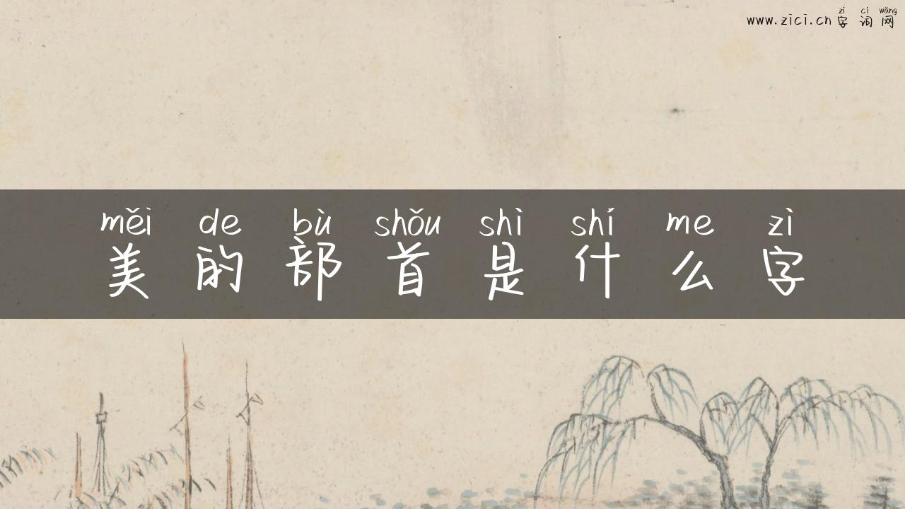 美的部首是什么字