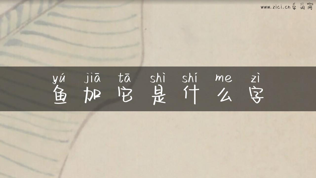鱼加它是什么字