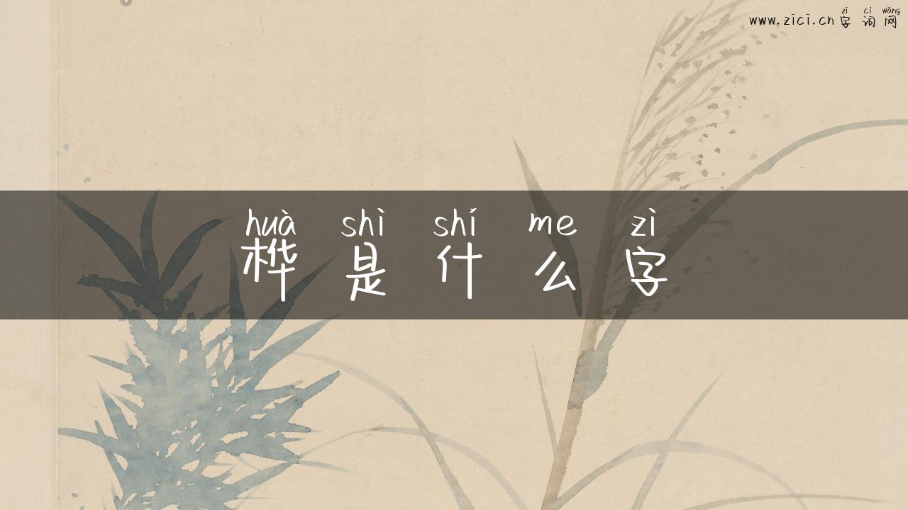 桦是什么字