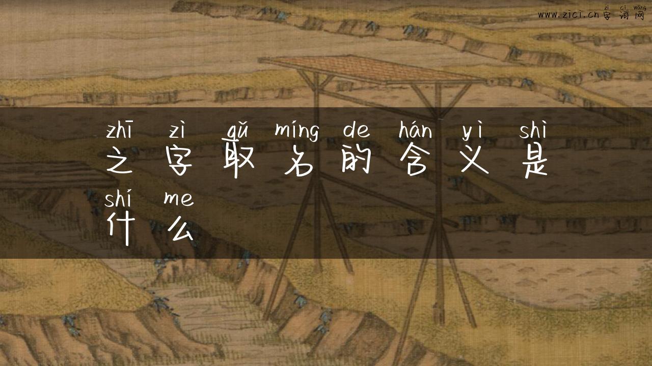 之字取名的含义是什么