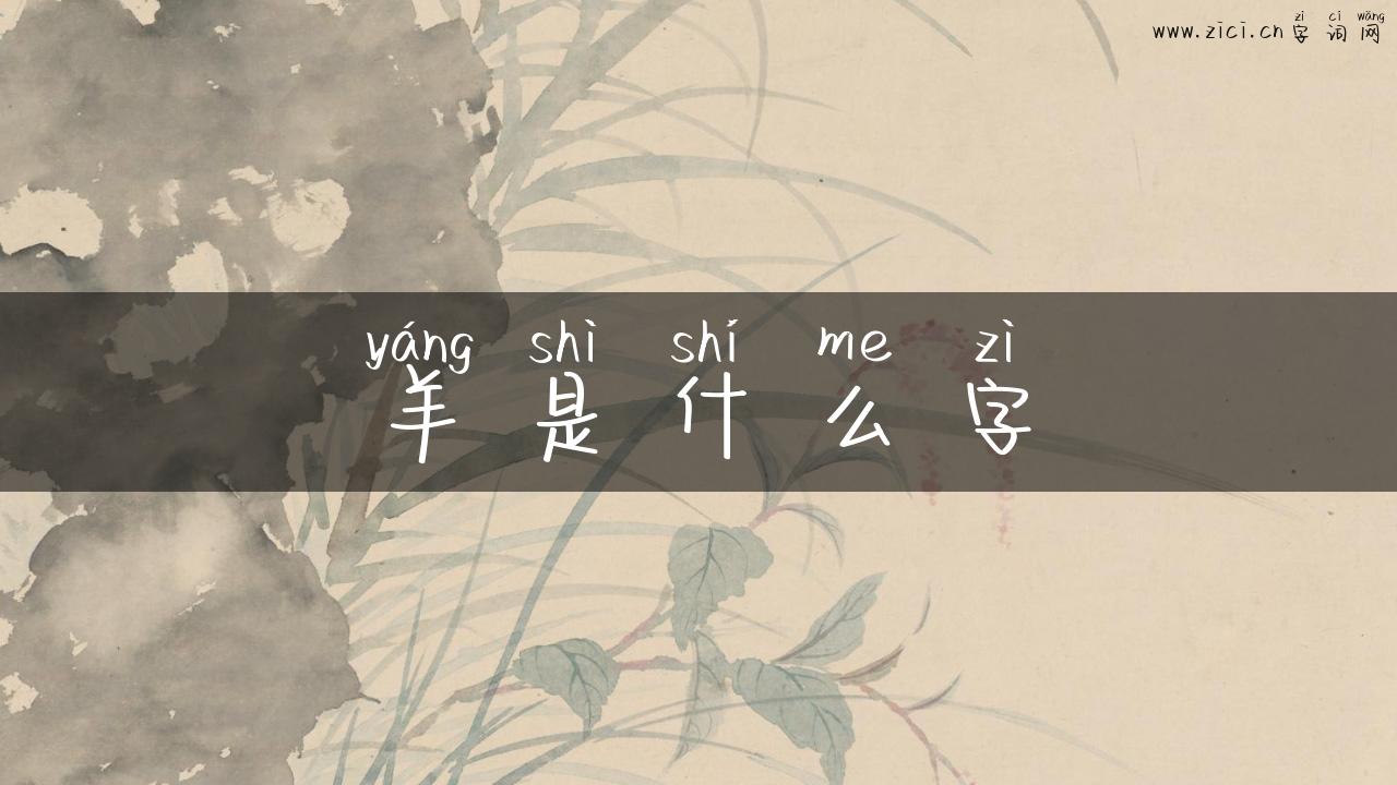 羊是什么字