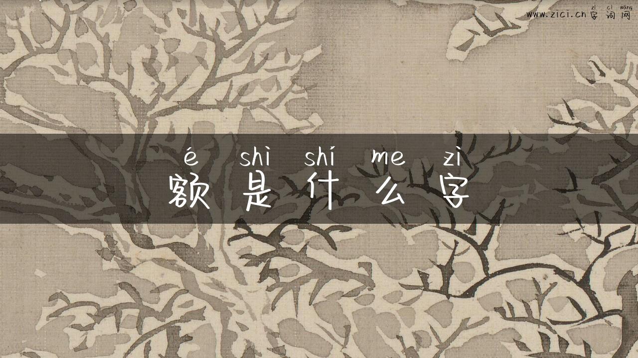 额是什么字