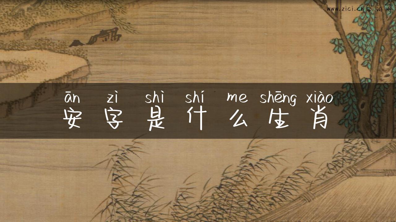 安字是什么生肖
