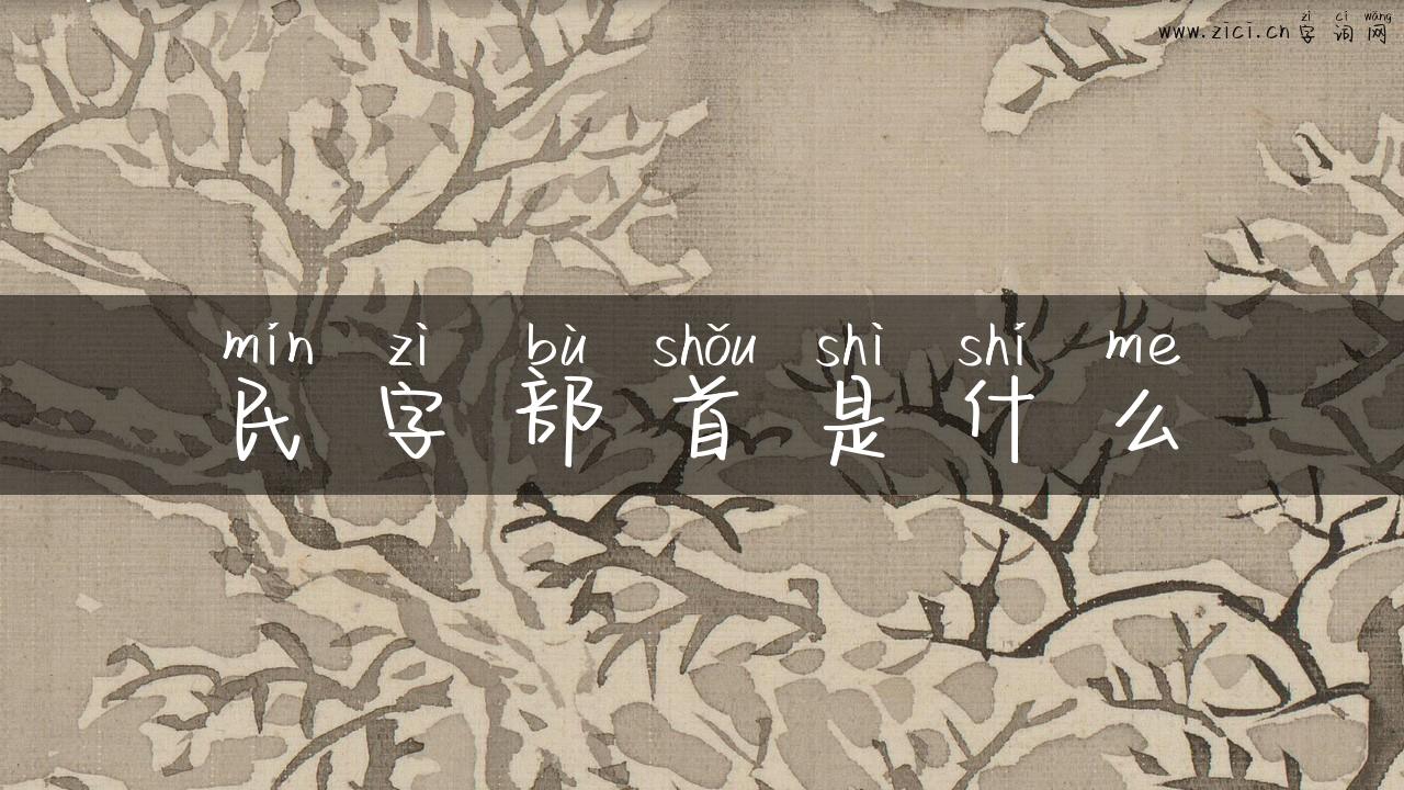 民字部首是什么