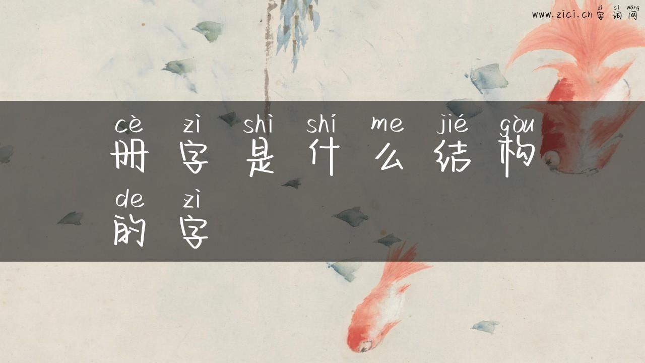 册字是什么结构的字