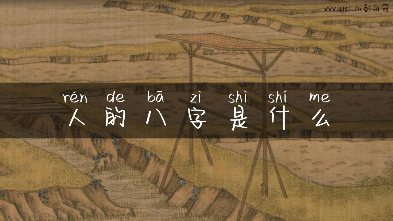 人的八字是什么