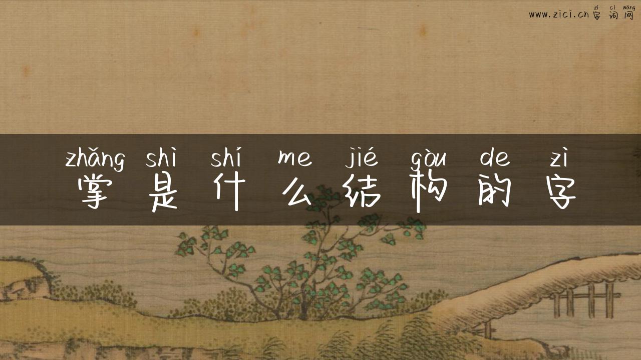 掌是什么结构的字