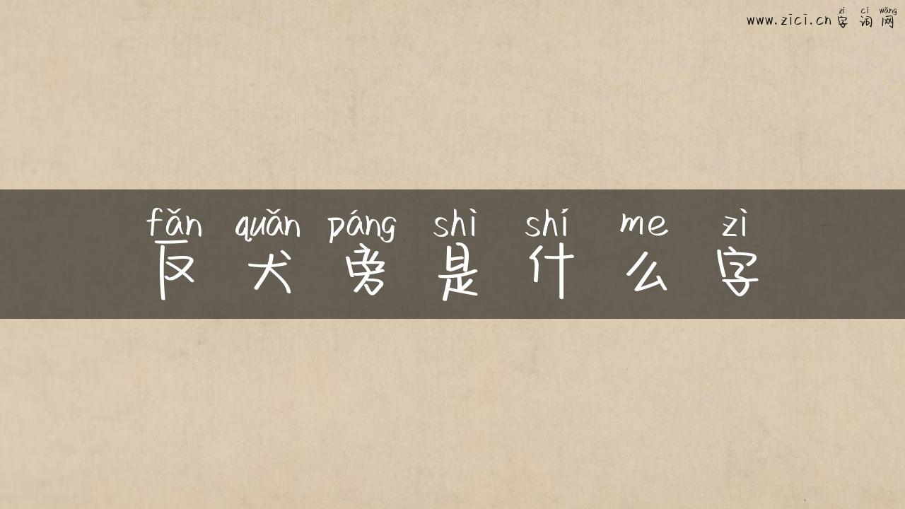 反犬旁是什么字