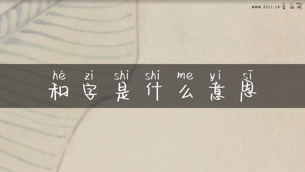 和字是什么意思