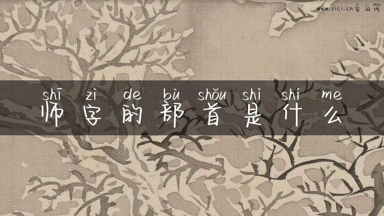 师字的部首是什么